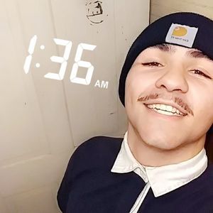 Meet your Posher, Roy